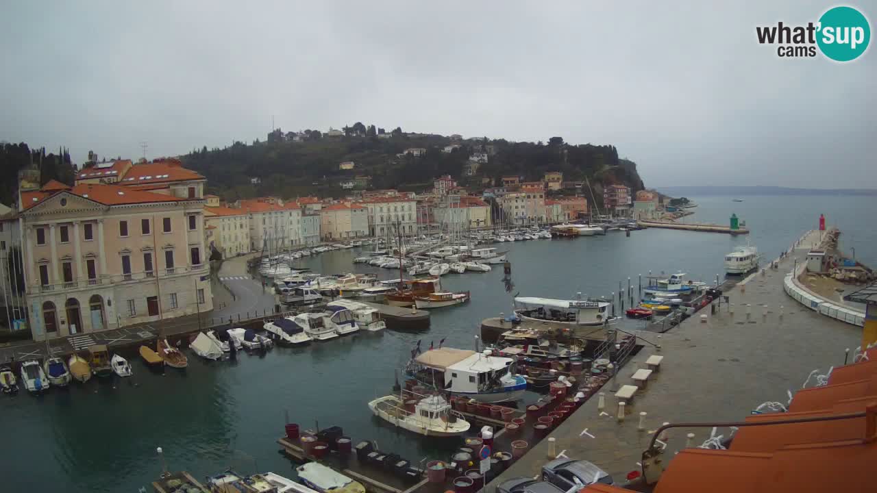 Live webcam da Pirano “Mandrač” – Splendida vista live da Villa Piranesi