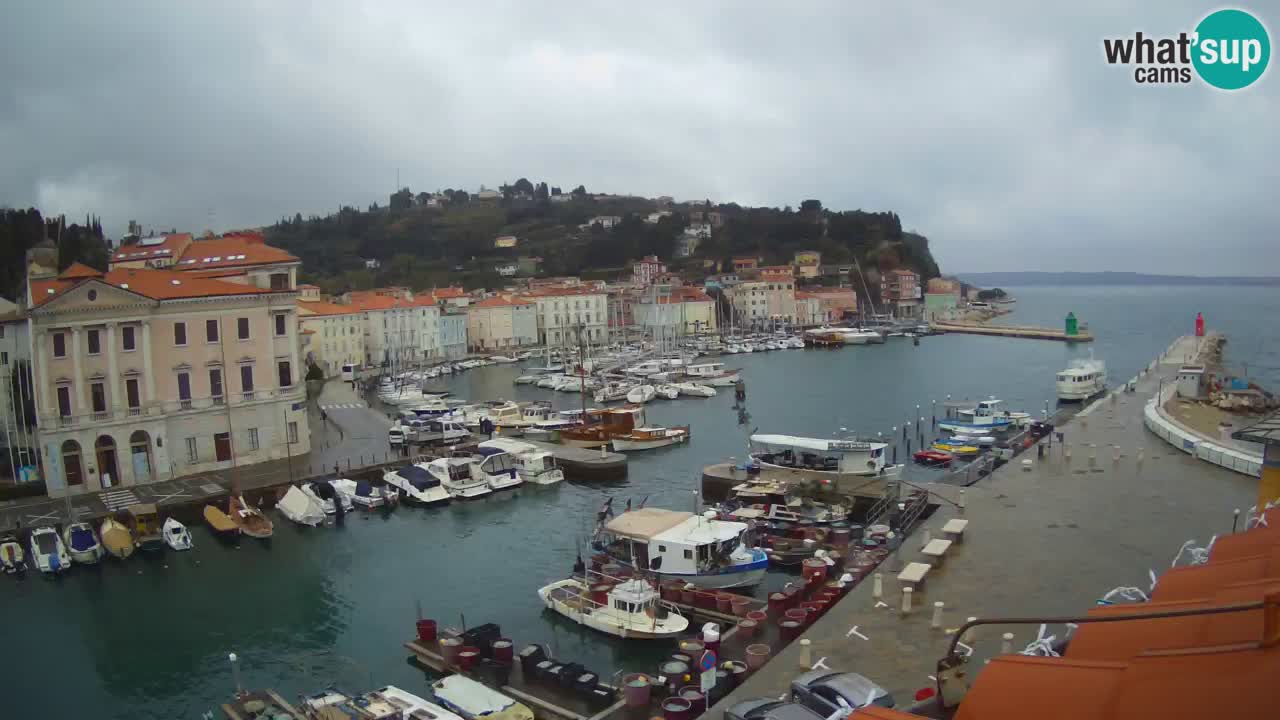 Live webcam da Pirano “Mandrač” – Splendida vista live da Villa Piranesi