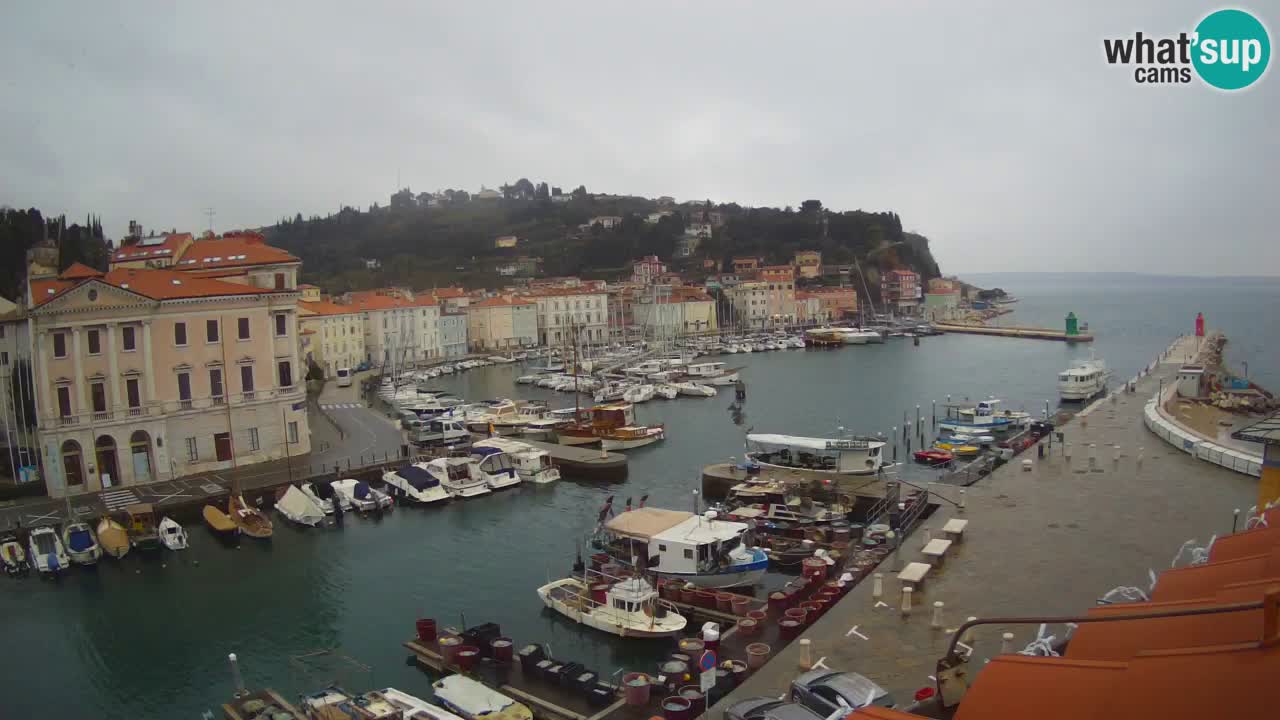 Webcam en direct de Piran “Mandrač” – Incroyable vue en direct de la Villa Piranesi