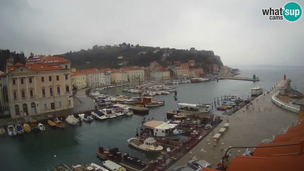 Live webcam da Pirano “Mandrač” – Splendida vista live da Villa Piranesi