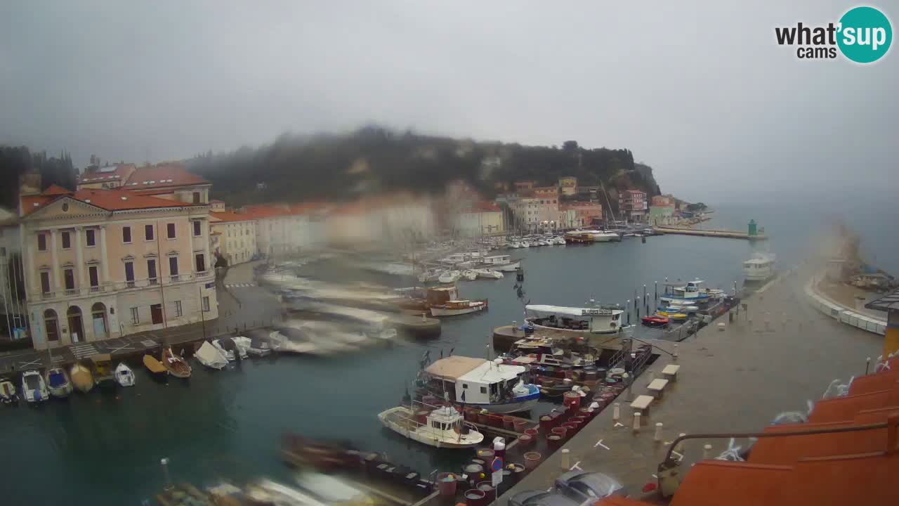 Live webcam da Pirano “Mandrač” – Splendida vista live da Villa Piranesi