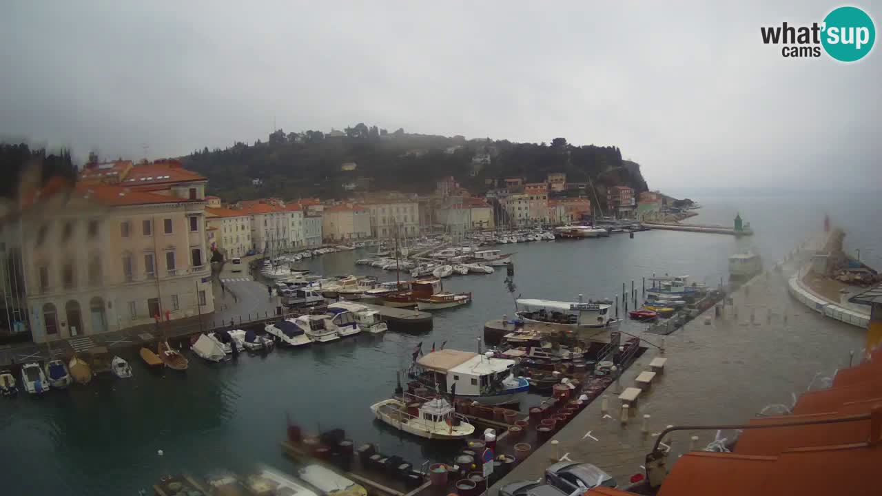 Live webcam da Pirano “Mandrač” – Splendida vista live da Villa Piranesi