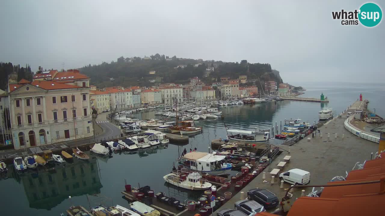 Live webcam da Pirano “Mandrač” – Splendida vista live da Villa Piranesi