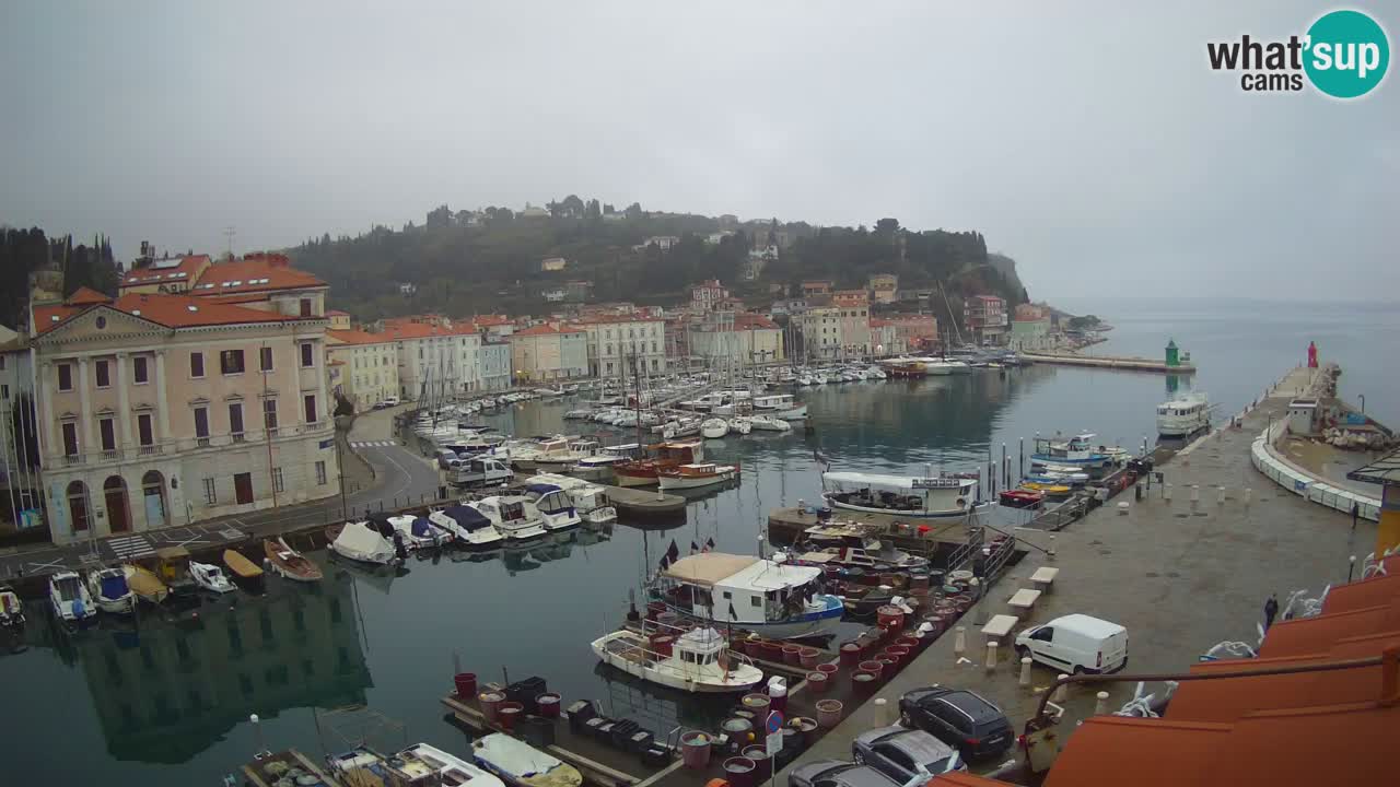 Live webcam da Pirano “Mandrač” – Splendida vista live da Villa Piranesi