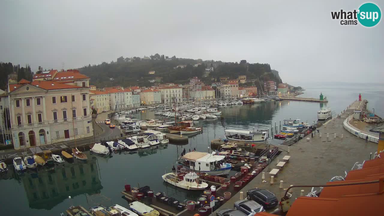 Webcam en direct de Piran “Mandrač” – Incroyable vue en direct de la Villa Piranesi