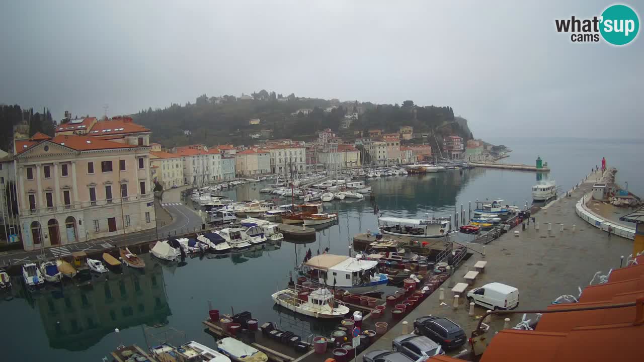 Webcam en direct de Piran “Mandrač” – Incroyable vue en direct de la Villa Piranesi