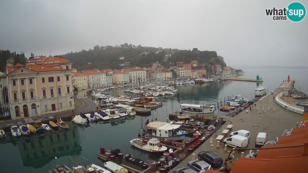 Live-Webcam aus Piran “Mandrač” – Erstaunliche Live-Ansicht von Villa Piranesi