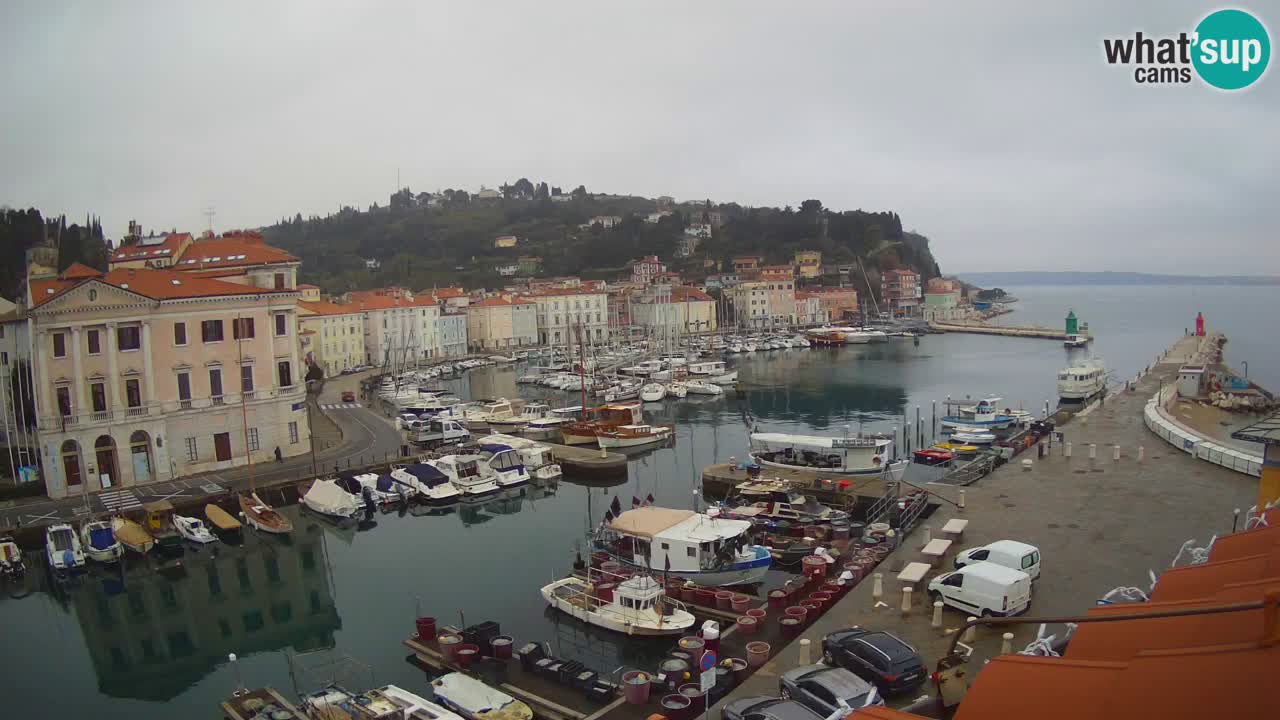 Webcam en direct de Piran “Mandrač” – Incroyable vue en direct de la Villa Piranesi