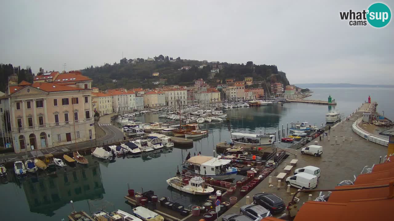 Live-Webcam aus Piran “Mandrač” – Erstaunliche Live-Ansicht von Villa Piranesi