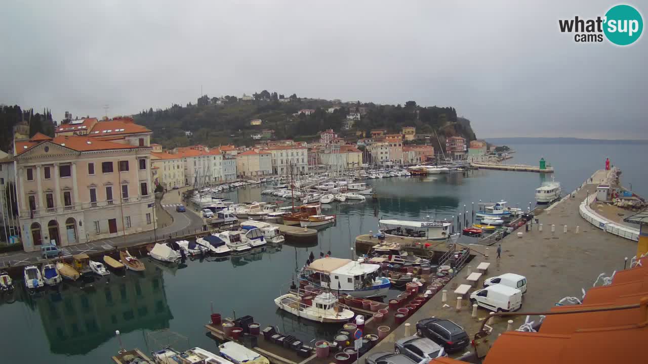 Live-Webcam aus Piran “Mandrač” – Erstaunliche Live-Ansicht von Villa Piranesi