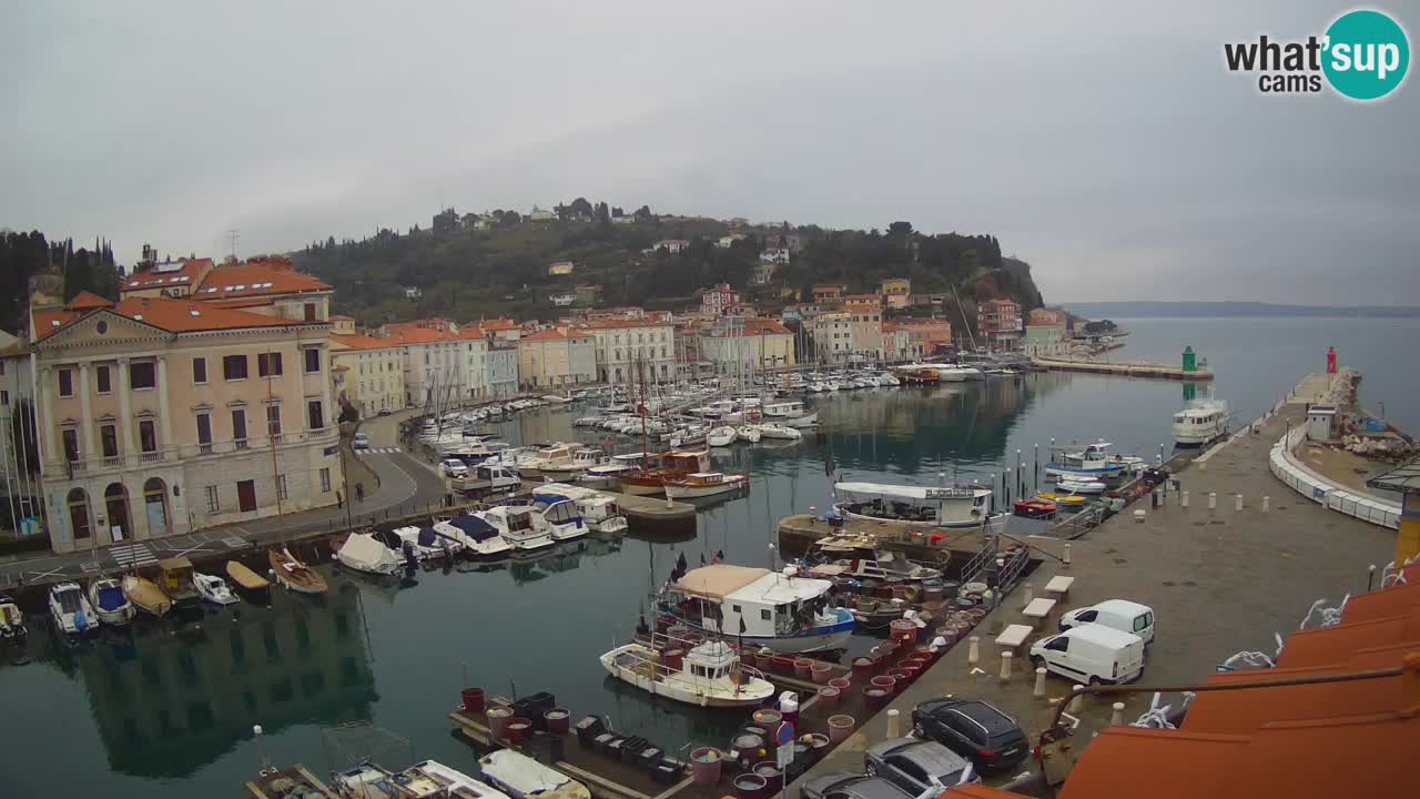 Webcam en direct de Piran “Mandrač” – Incroyable vue en direct de la Villa Piranesi