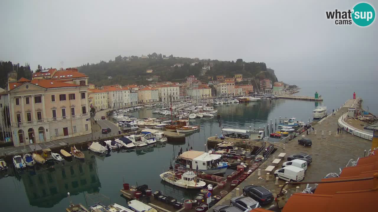 Live-Webcam aus Piran “Mandrač” – Erstaunliche Live-Ansicht von Villa Piranesi