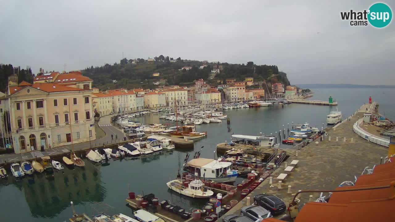 Live webcam from Piran “Mandrač” – Amazing live view from Villa Piranesi