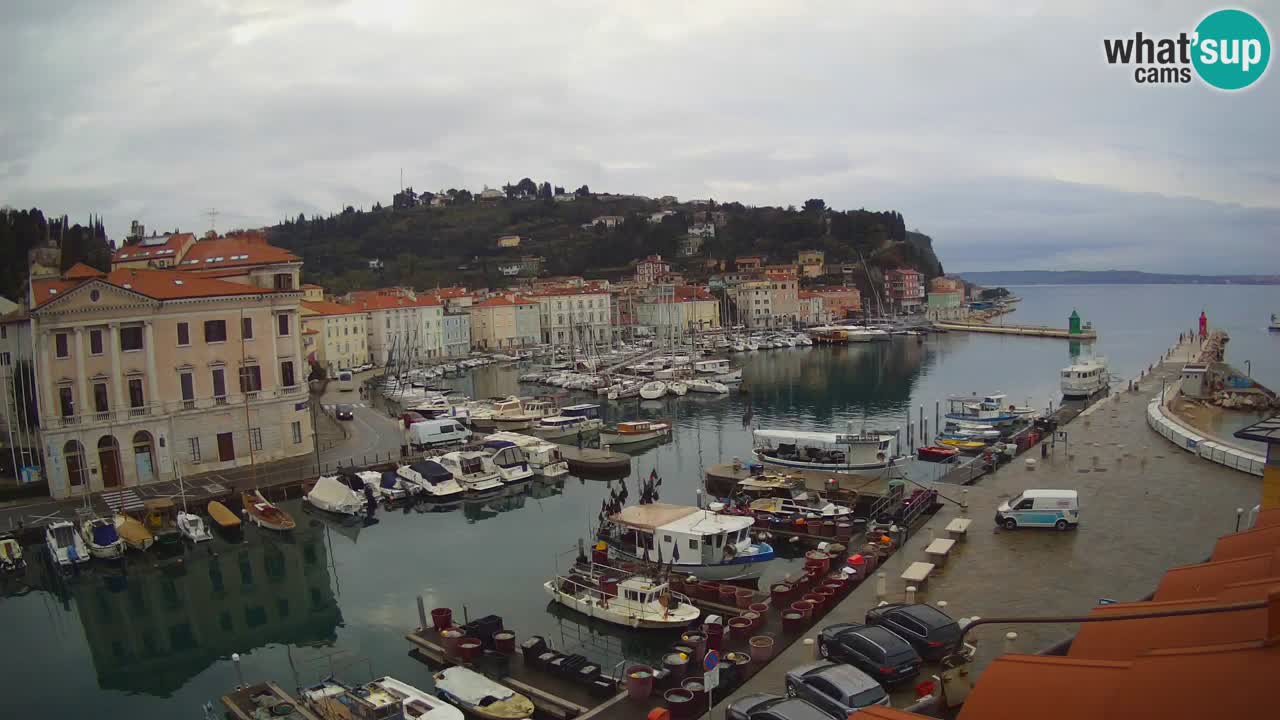 Live webcam from Piran “Mandrač” – Amazing live view from Villa Piranesi