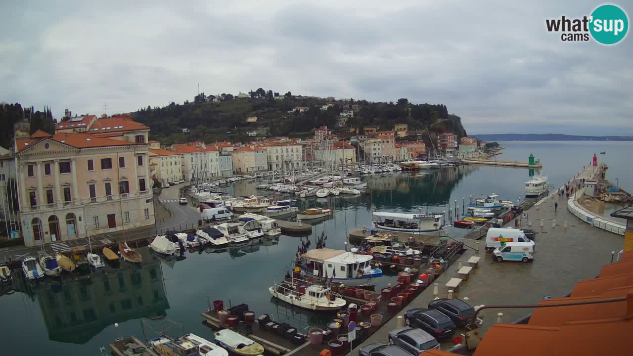 Live webcam da Pirano “Mandrač” – Splendida vista live da Villa Piranesi