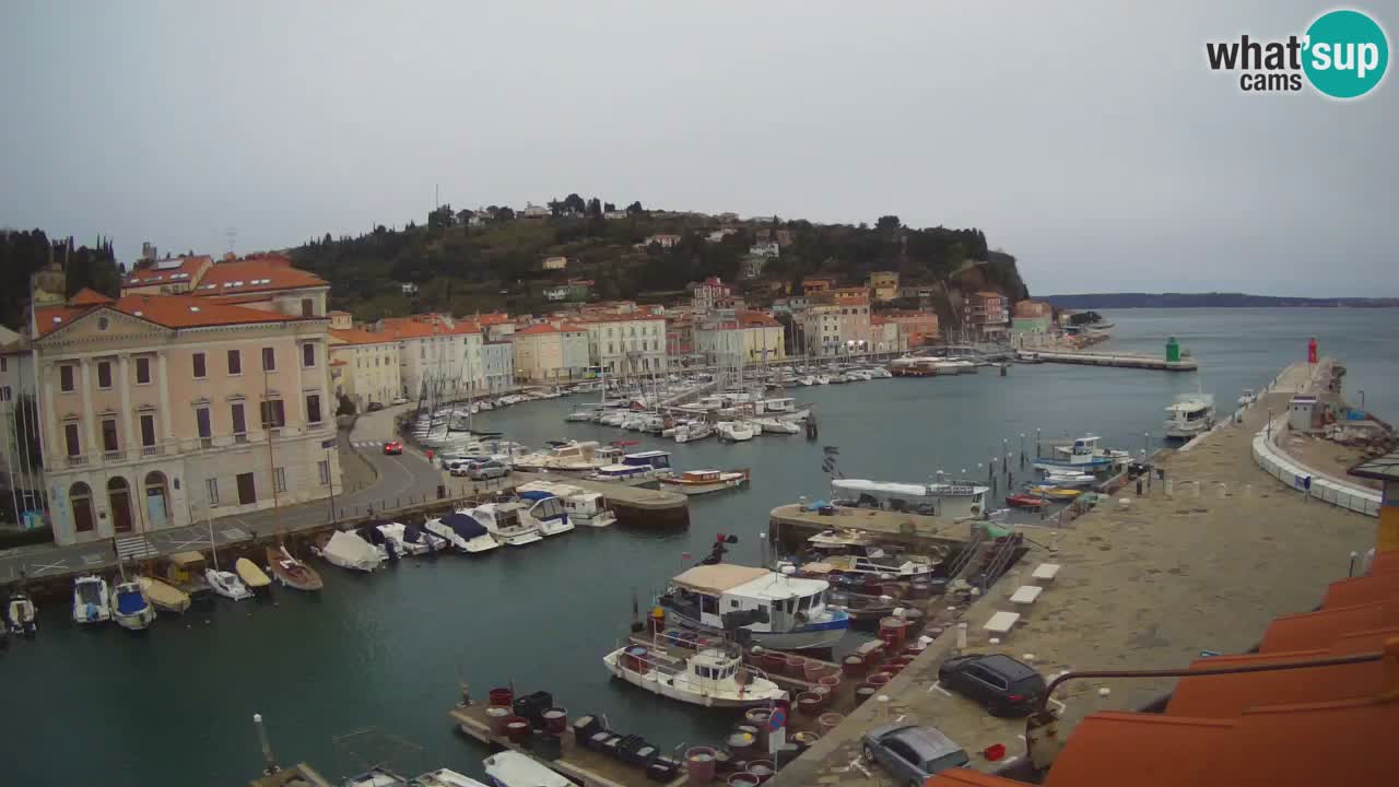 Webcam en direct de Piran “Mandrač” – Incroyable vue en direct de la Villa Piranesi