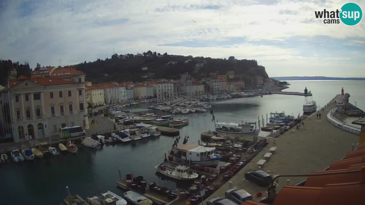 Webcam en direct de Piran “Mandrač” – Incroyable vue en direct de la Villa Piranesi