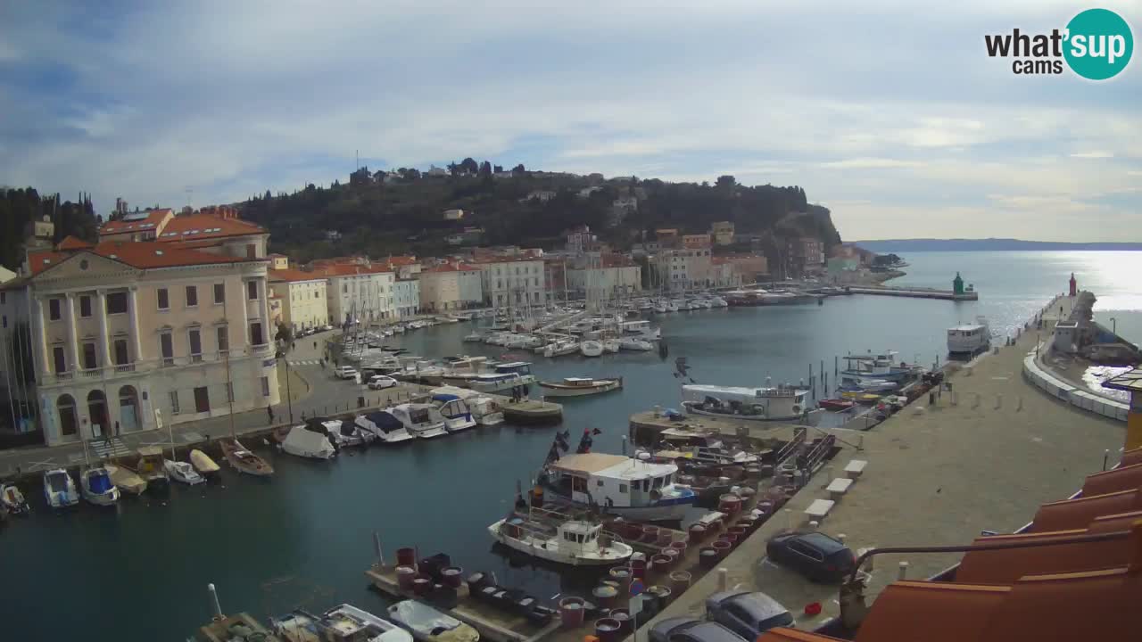 Live webcam da Pirano “Mandrač” – Splendida vista live da Villa Piranesi