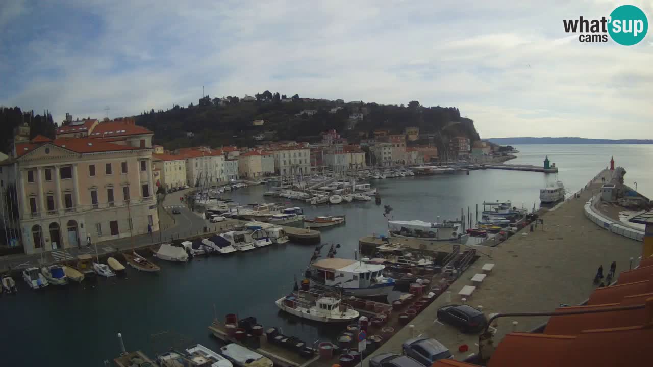 Live-Webcam aus Piran “Mandrač” – Erstaunliche Live-Ansicht von Villa Piranesi