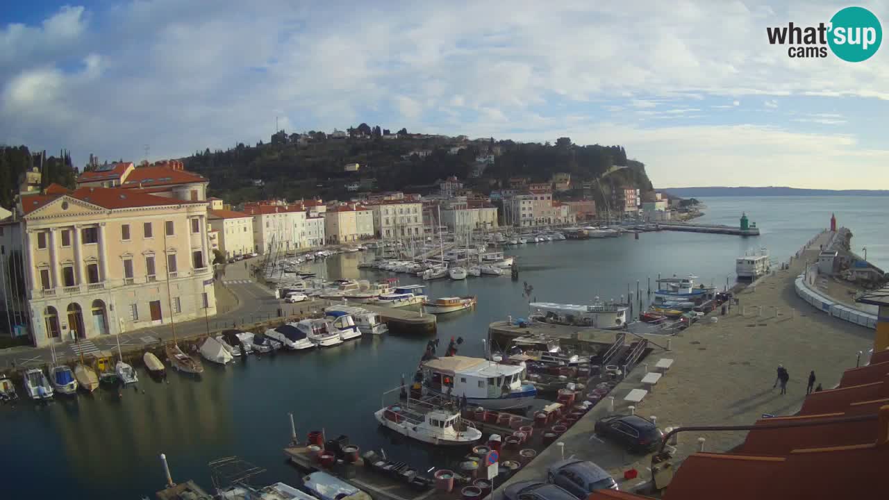 Live webcam da Pirano “Mandrač” – Splendida vista live da Villa Piranesi