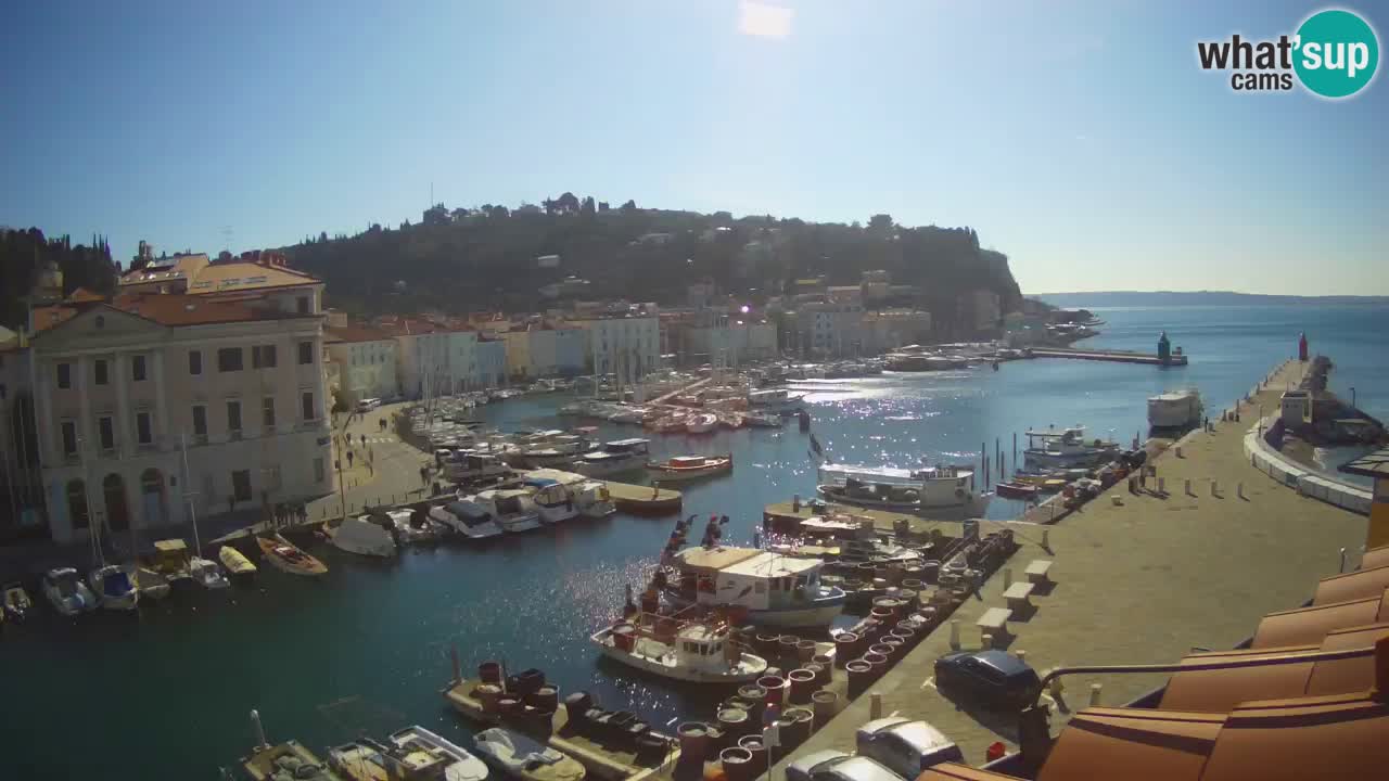 Webcam en direct de Piran “Mandrač” – Incroyable vue en direct de la Villa Piranesi