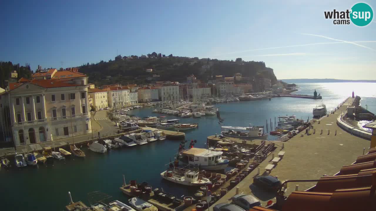 Live webcam da Pirano “Mandrač” – Splendida vista live da Villa Piranesi