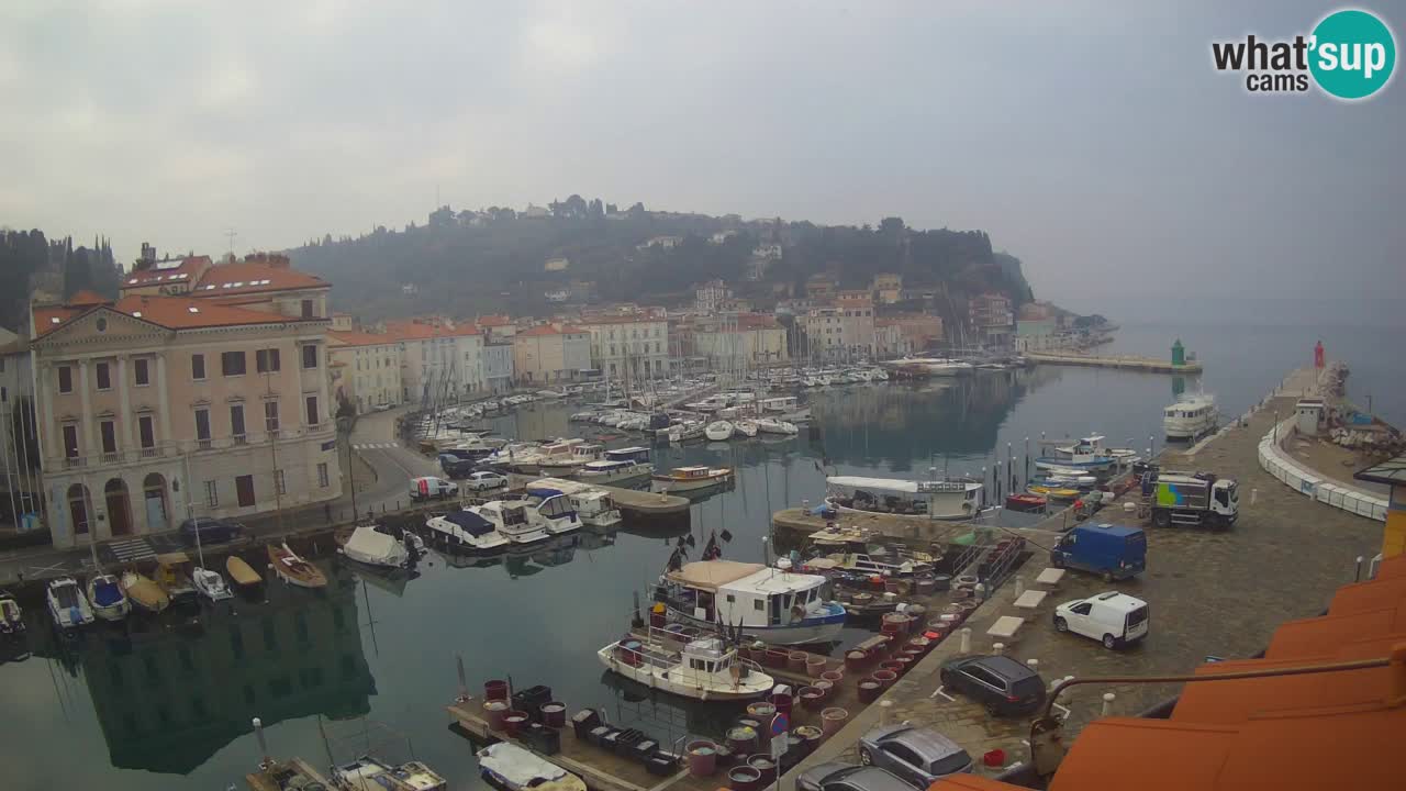 Webcam en direct de Piran “Mandrač” – Incroyable vue en direct de la Villa Piranesi