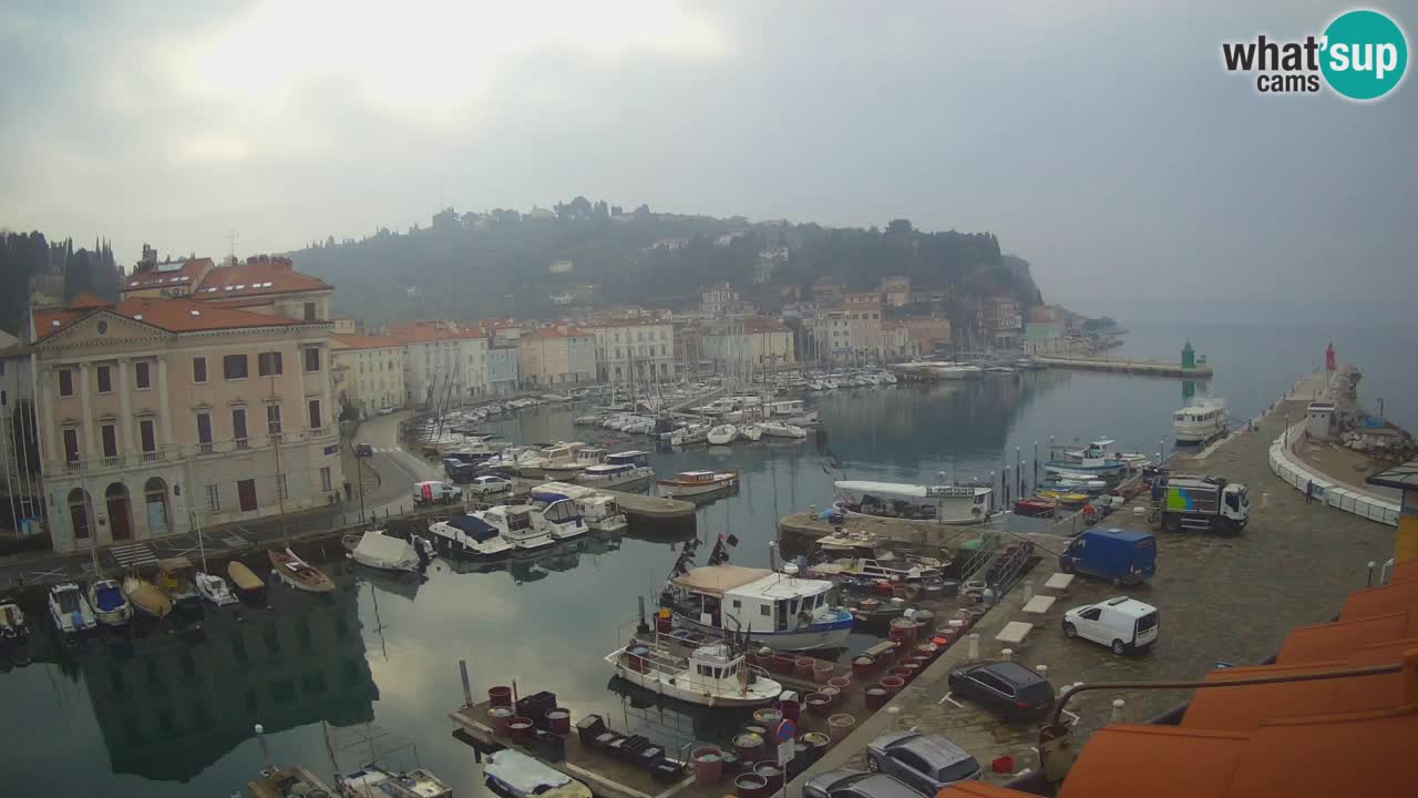 Live-Webcam aus Piran “Mandrač” – Erstaunliche Live-Ansicht von Villa Piranesi