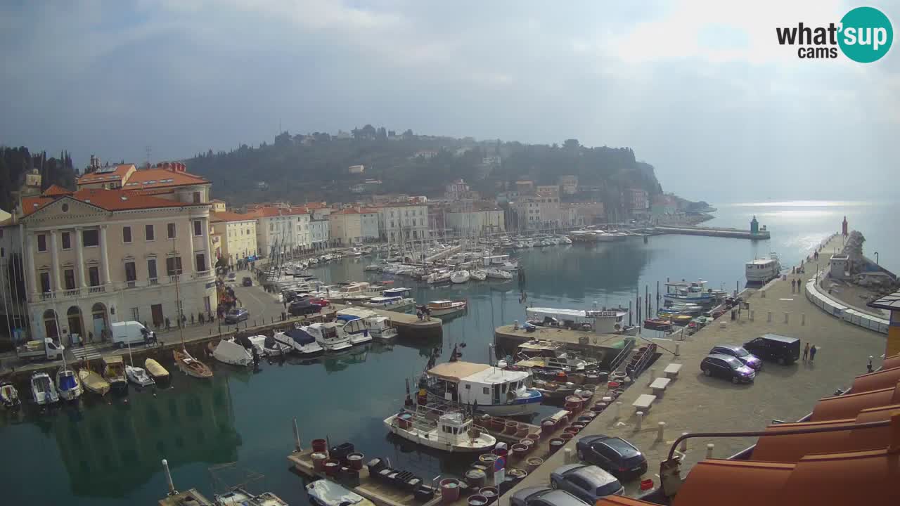 Live-Webcam aus Piran “Mandrač” – Erstaunliche Live-Ansicht von Villa Piranesi