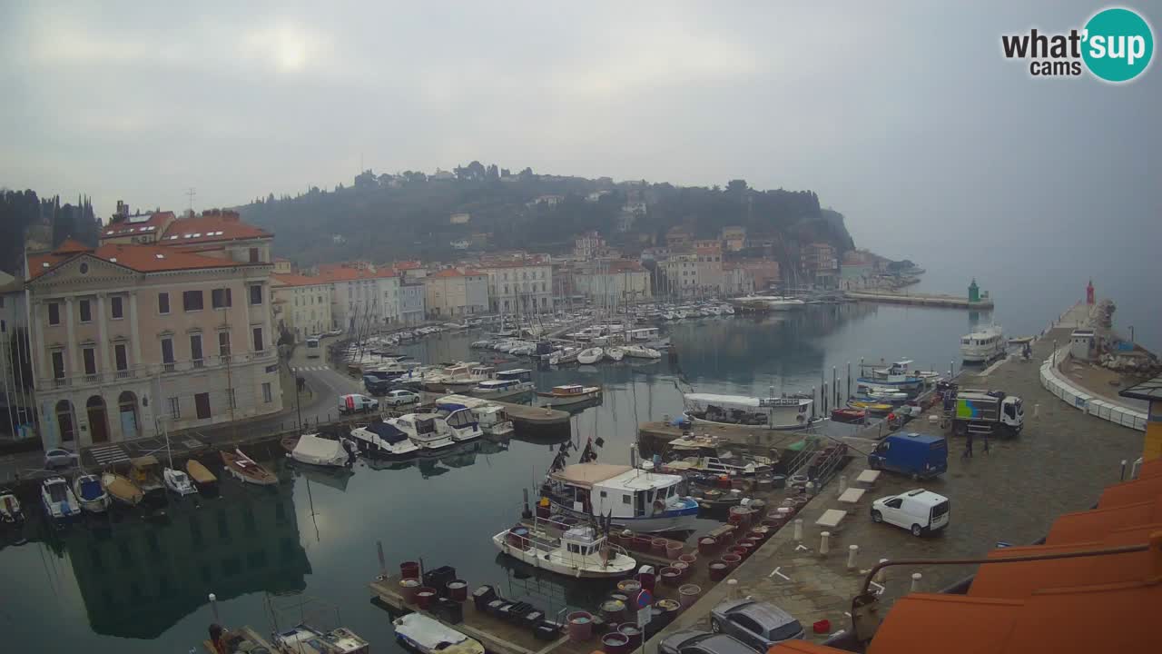 Live-Webcam aus Piran “Mandrač” – Erstaunliche Live-Ansicht von Villa Piranesi