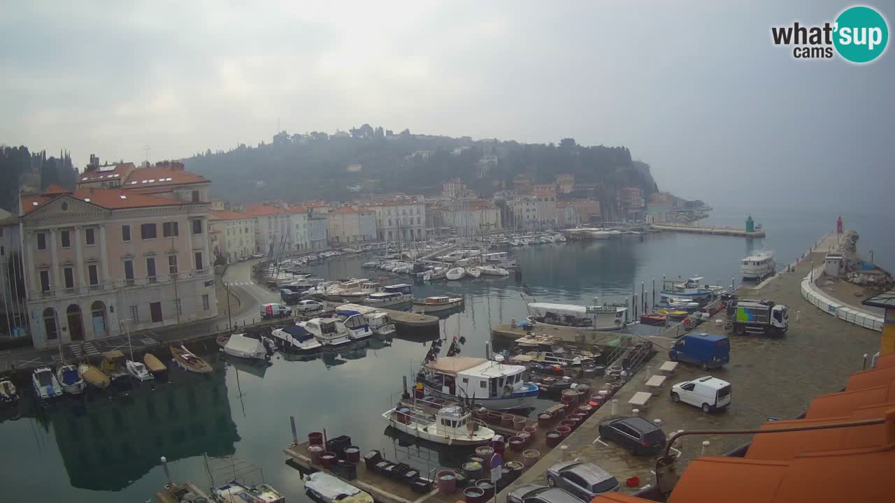 Webcam en direct de Piran “Mandrač” – Incroyable vue en direct de la Villa Piranesi