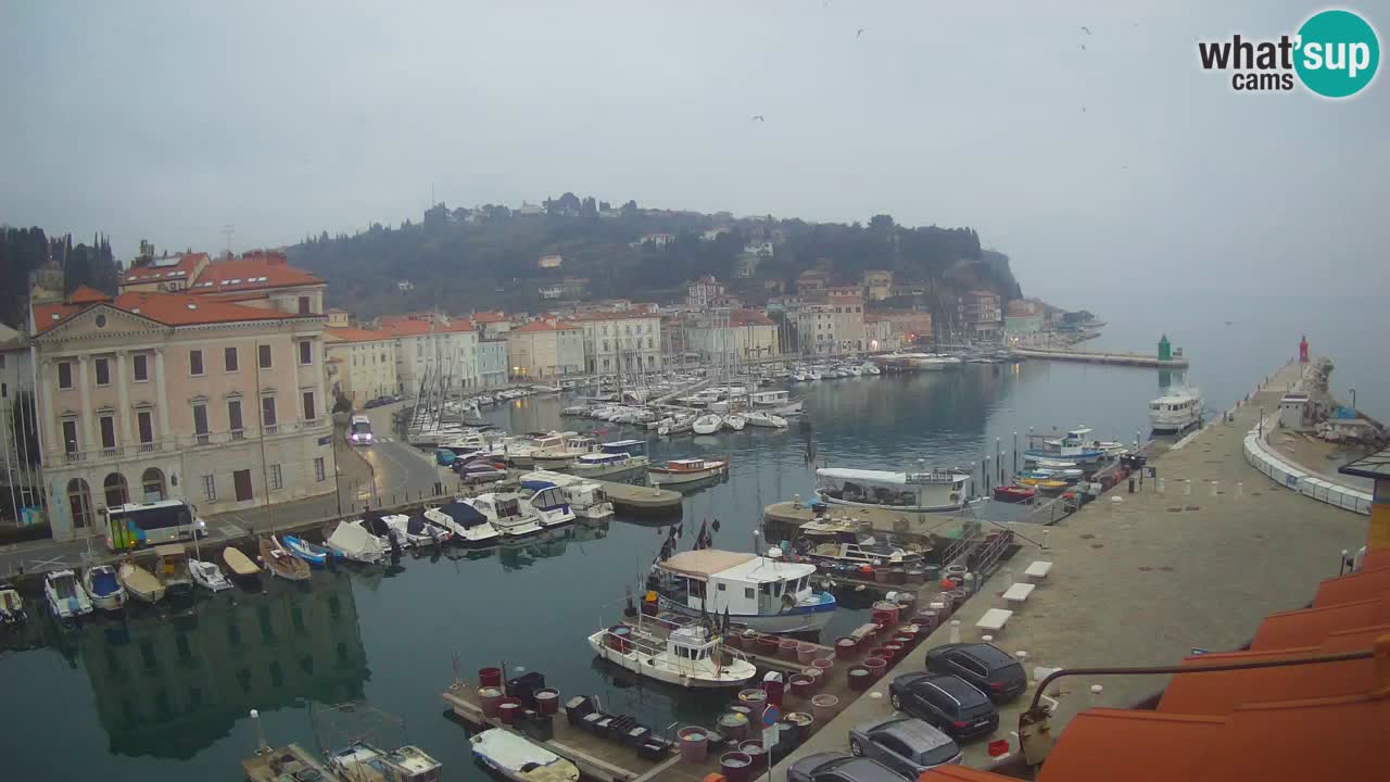 Live-Webcam aus Piran “Mandrač” – Erstaunliche Live-Ansicht von Villa Piranesi