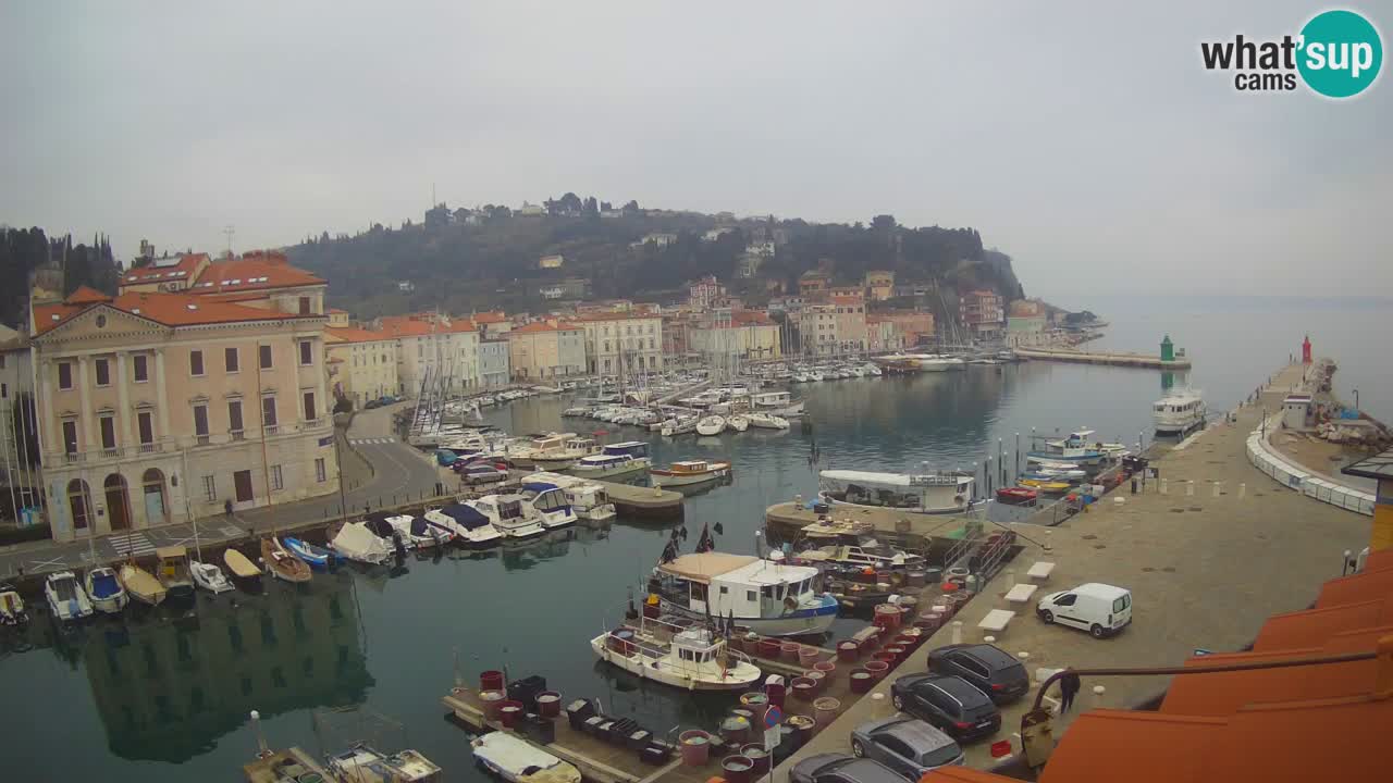 Webcam en direct de Piran “Mandrač” – Incroyable vue en direct de la Villa Piranesi