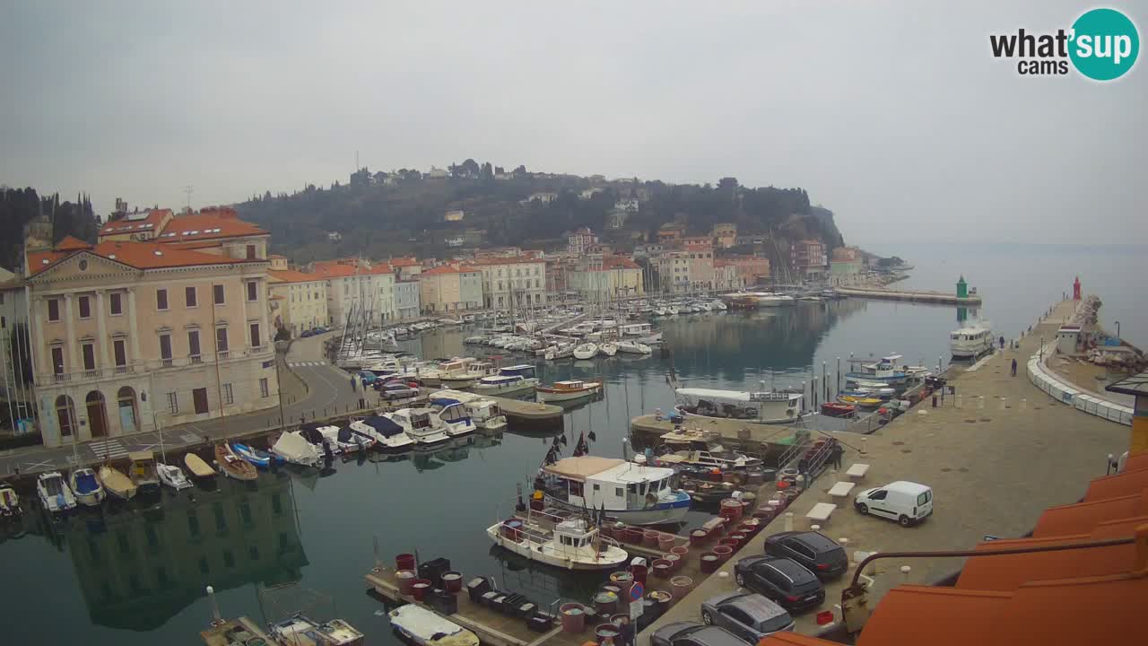 Live webcam da Pirano “Mandrač” – Splendida vista live da Villa Piranesi