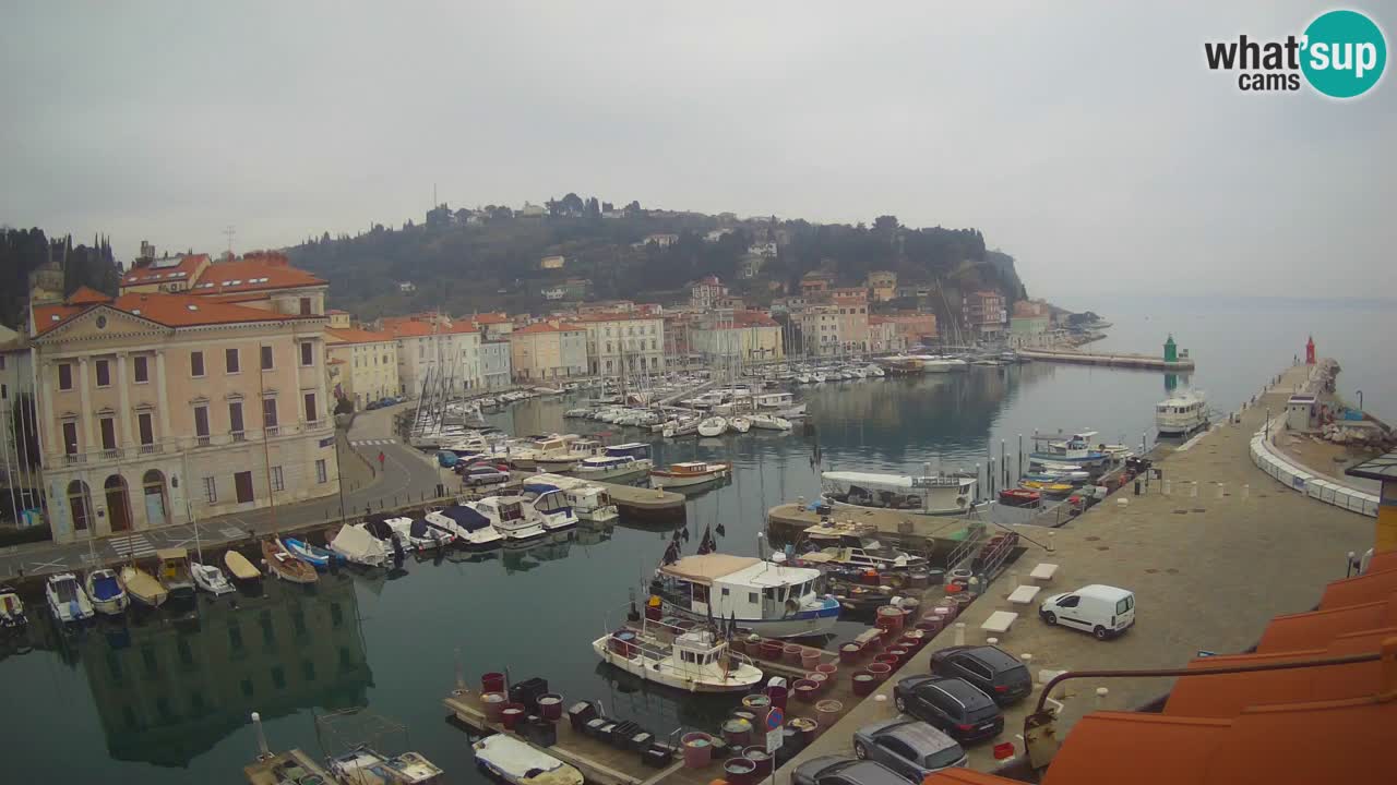 Live webcam da Pirano “Mandrač” – Splendida vista live da Villa Piranesi