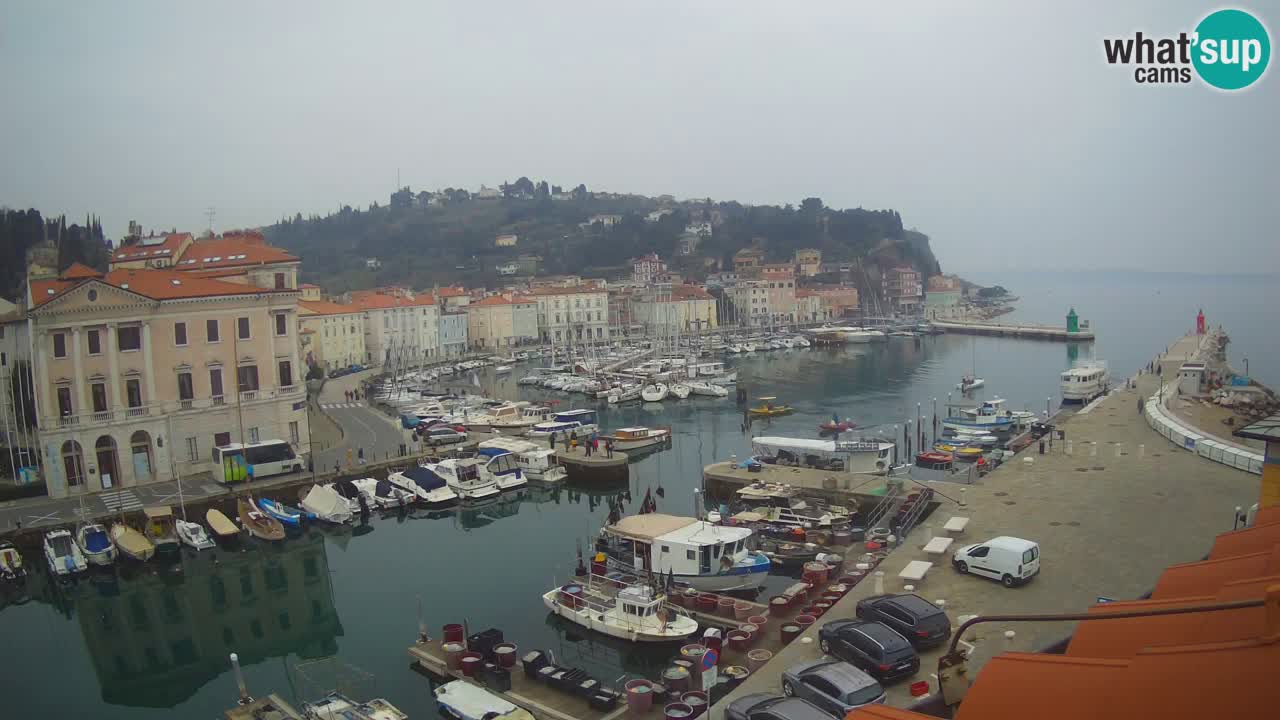 Live webcam da Pirano “Mandrač” – Splendida vista live da Villa Piranesi