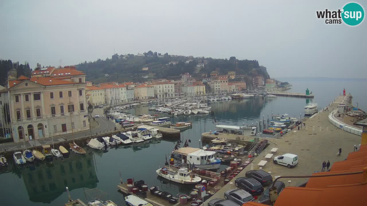 Webcam en direct de Piran “Mandrač” – Incroyable vue en direct de la Villa Piranesi