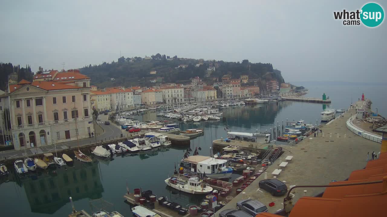 Live webcam da Pirano “Mandrač” – Splendida vista live da Villa Piranesi