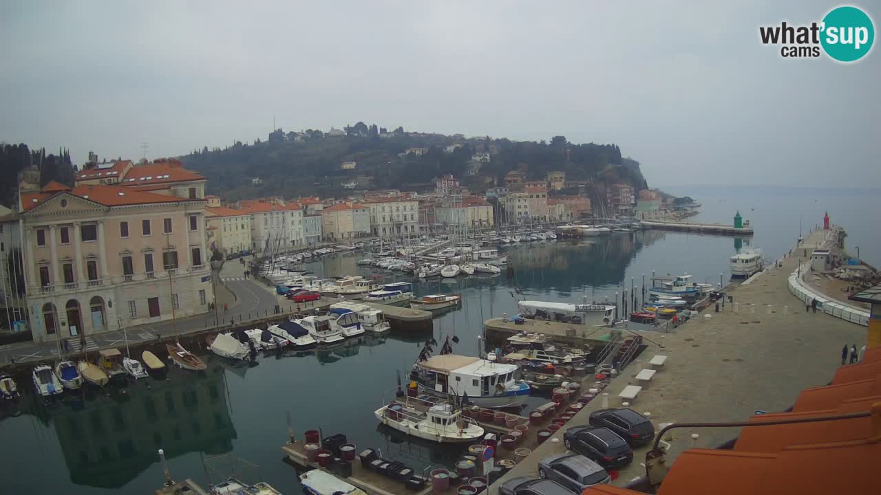 Live webcam da Pirano “Mandrač” – Splendida vista live da Villa Piranesi