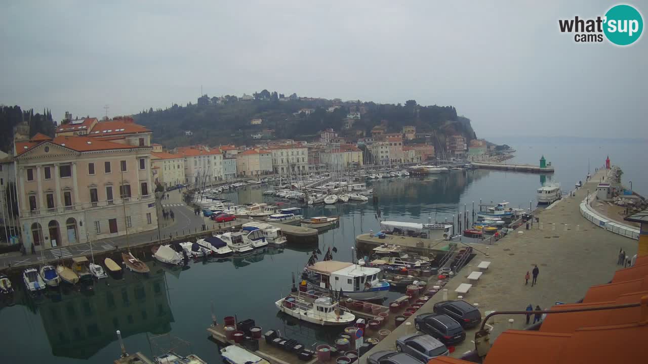 Live webcam from Piran “Mandrač” – Amazing live view from Villa Piranesi