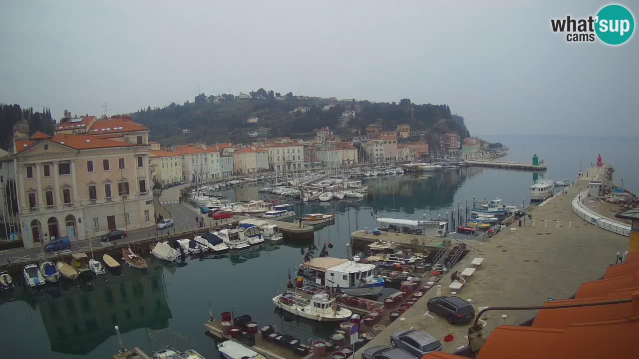 Live webcam da Pirano “Mandrač” – Splendida vista live da Villa Piranesi