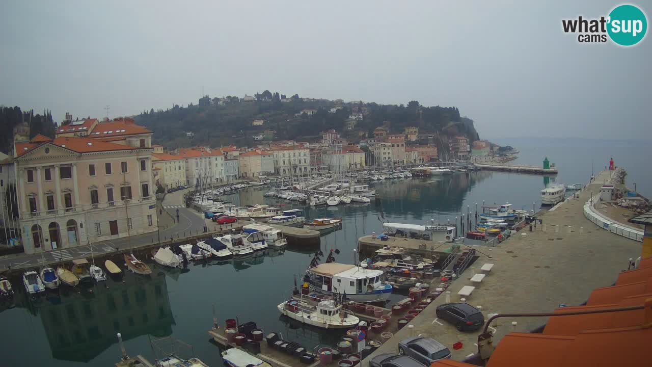 Live webcam da Pirano “Mandrač” – Splendida vista live da Villa Piranesi