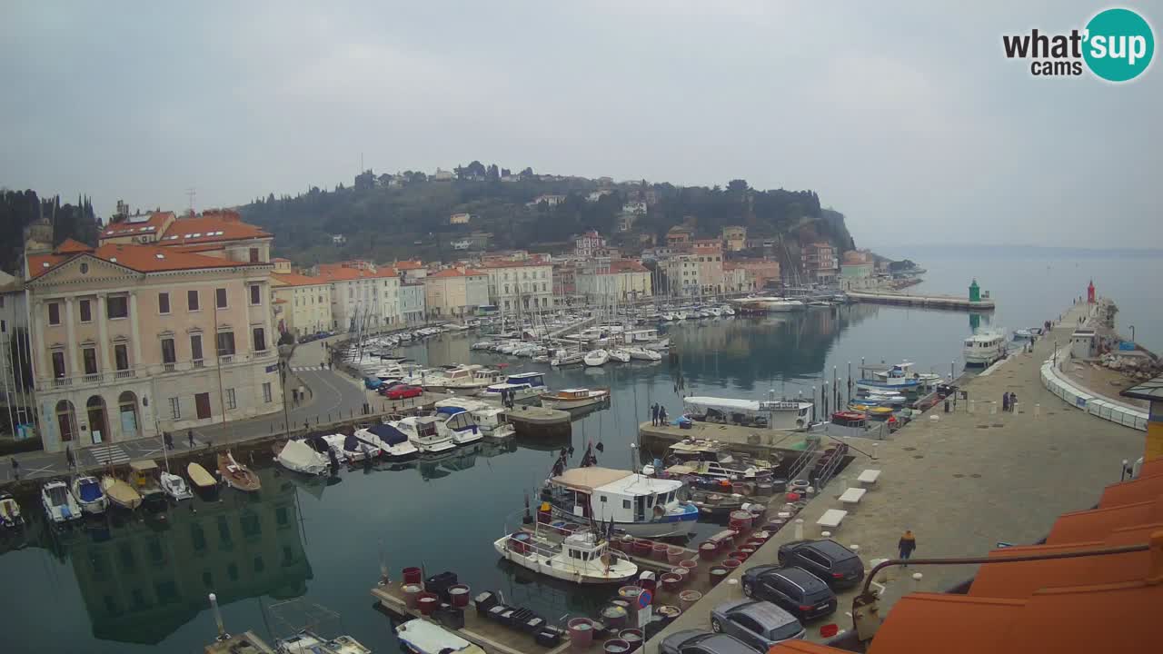 Live webcam from Piran “Mandrač” – Amazing live view from Villa Piranesi