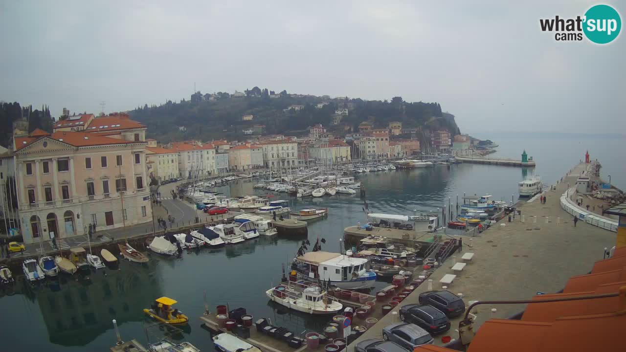 Live webcam from Piran “Mandrač” – Amazing live view from Villa Piranesi