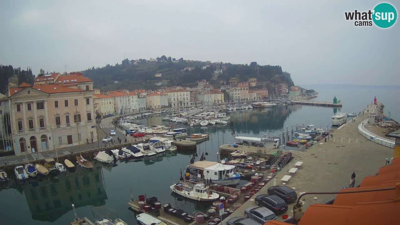 Live webcam da Pirano “Mandrač” – Splendida vista live da Villa Piranesi