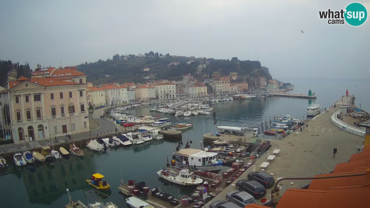 Live-Webcam aus Piran “Mandrač” – Erstaunliche Live-Ansicht von Villa Piranesi