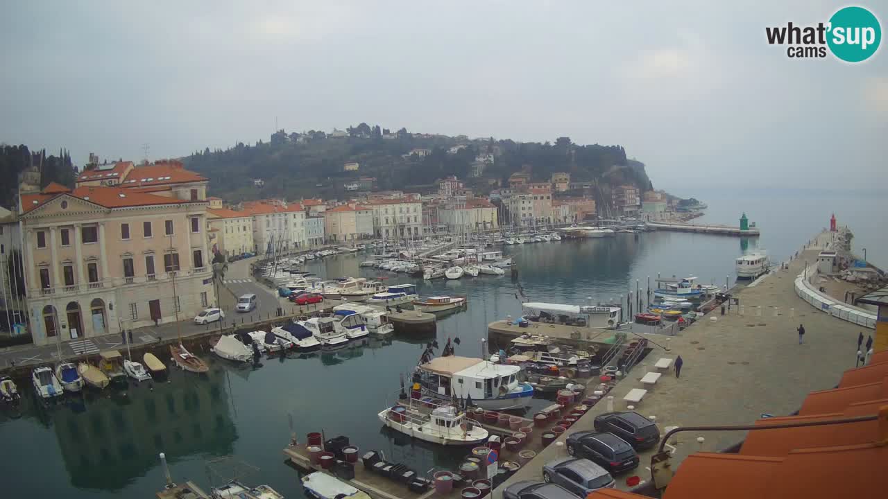 Live webcam da Pirano “Mandrač” – Splendida vista live da Villa Piranesi