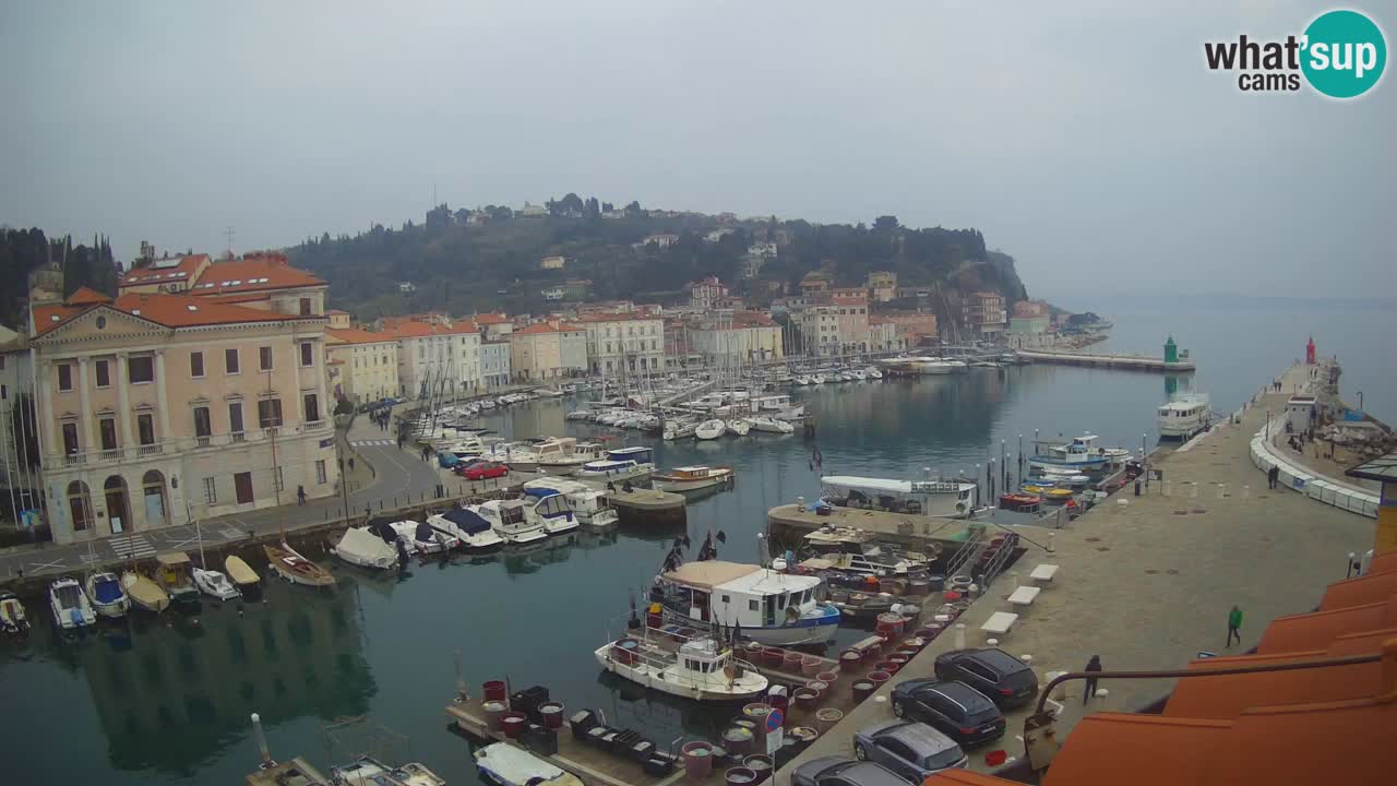 Live webcam da Pirano “Mandrač” – Splendida vista live da Villa Piranesi