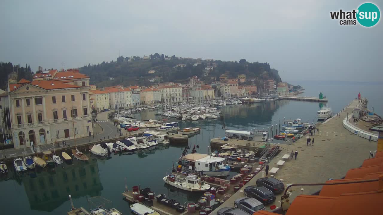 Live webcam da Pirano “Mandrač” – Splendida vista live da Villa Piranesi