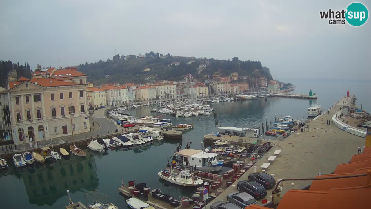 Live-Webcam aus Piran “Mandrač” – Erstaunliche Live-Ansicht von Villa Piranesi